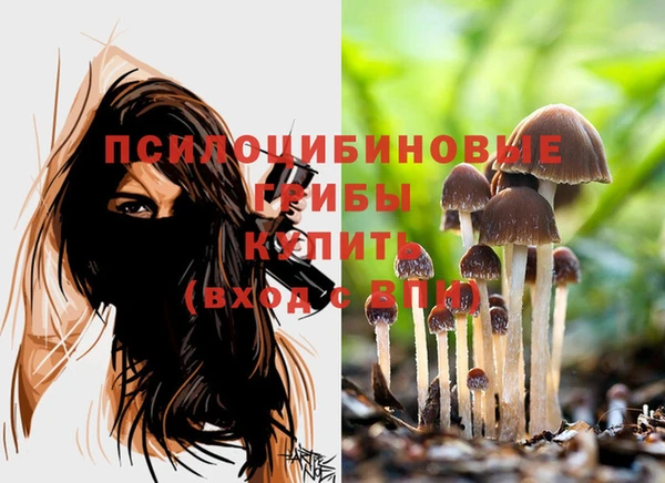 MESCALINE Бородино