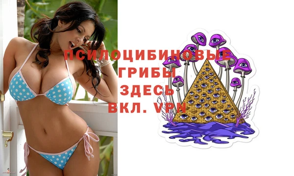 прущие крисы Бугульма