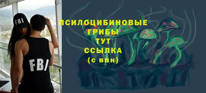 hydra tor  Бугульма  Псилоцибиновые грибы Psilocybine cubensis 