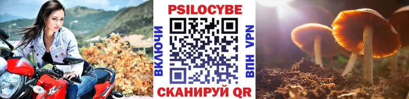 Галлюциногенные грибы Psilocybine cubensis Бугульма