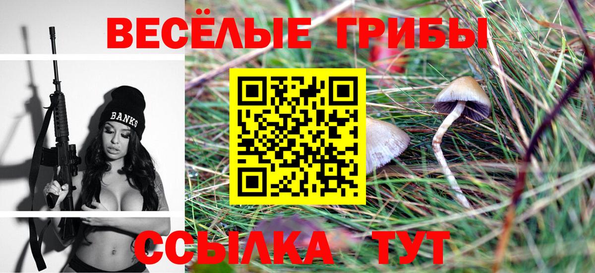 Псилоцибиновые грибы прущие грибы  Вход с VPN  Бугульма 
